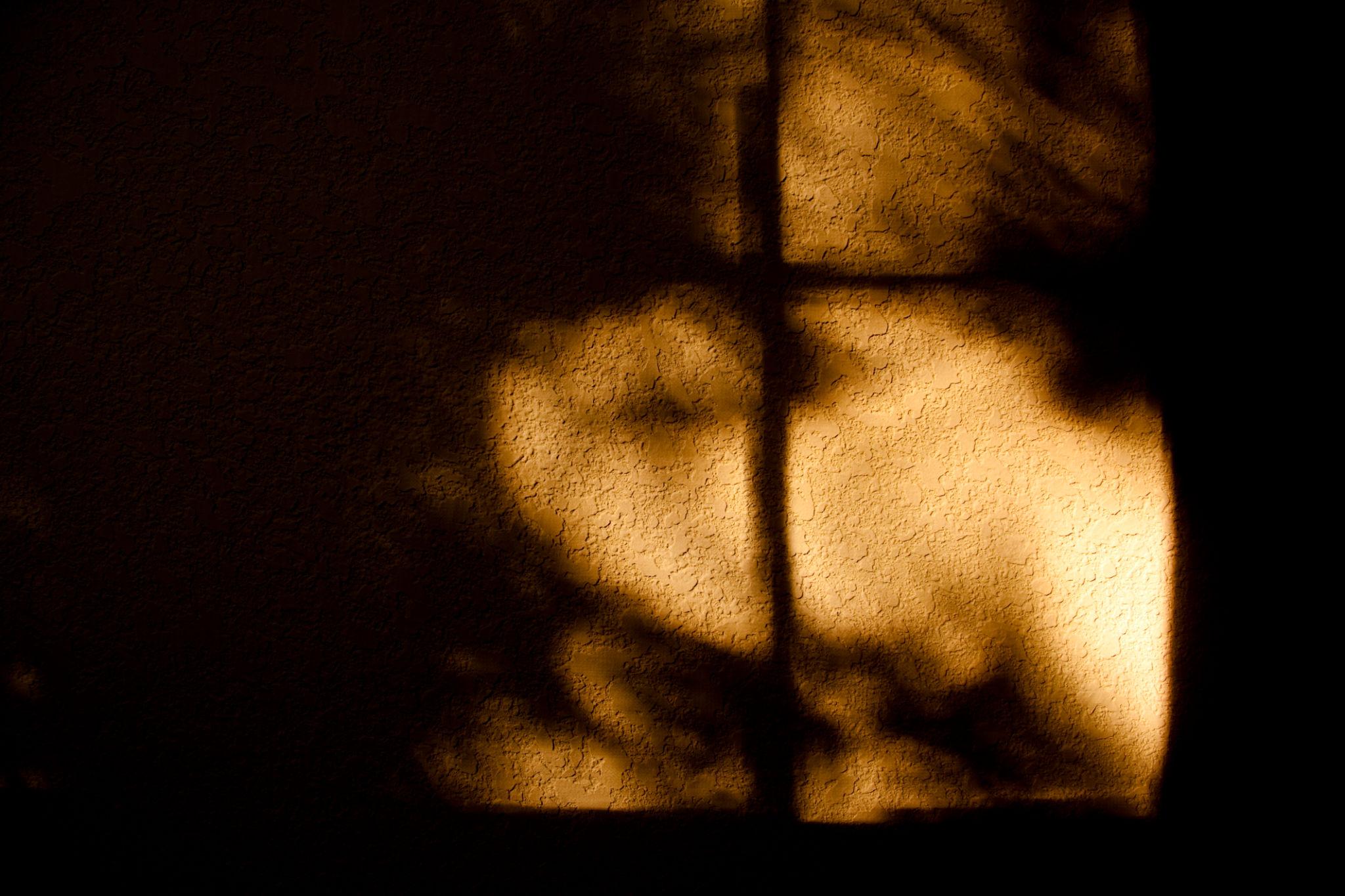 hands joined together symbolizing unity support and recovery community